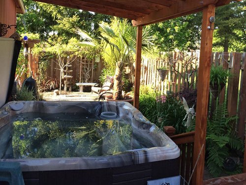 a beautiful sunny back yard filled with tropical plants and a spa loacted under a wooden gazebo